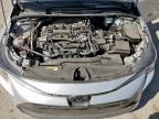 2024 Toyota Corolla Le en Venta en Anthony, TX - Side