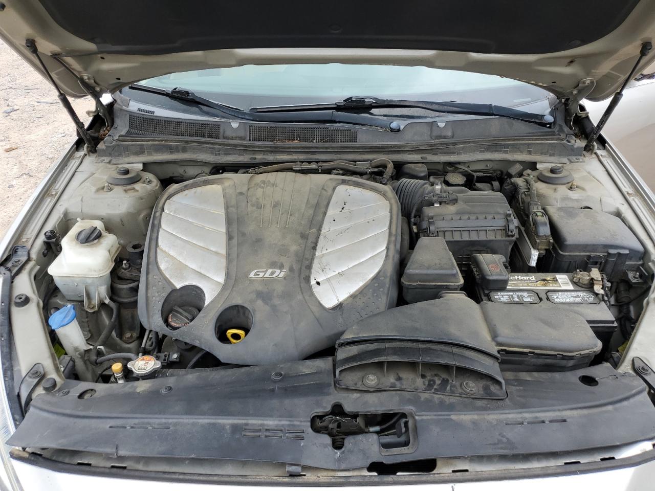 2014 Kia Cadenza Premium VIN: KNALN4D7XE5123003 Lot: 56565475