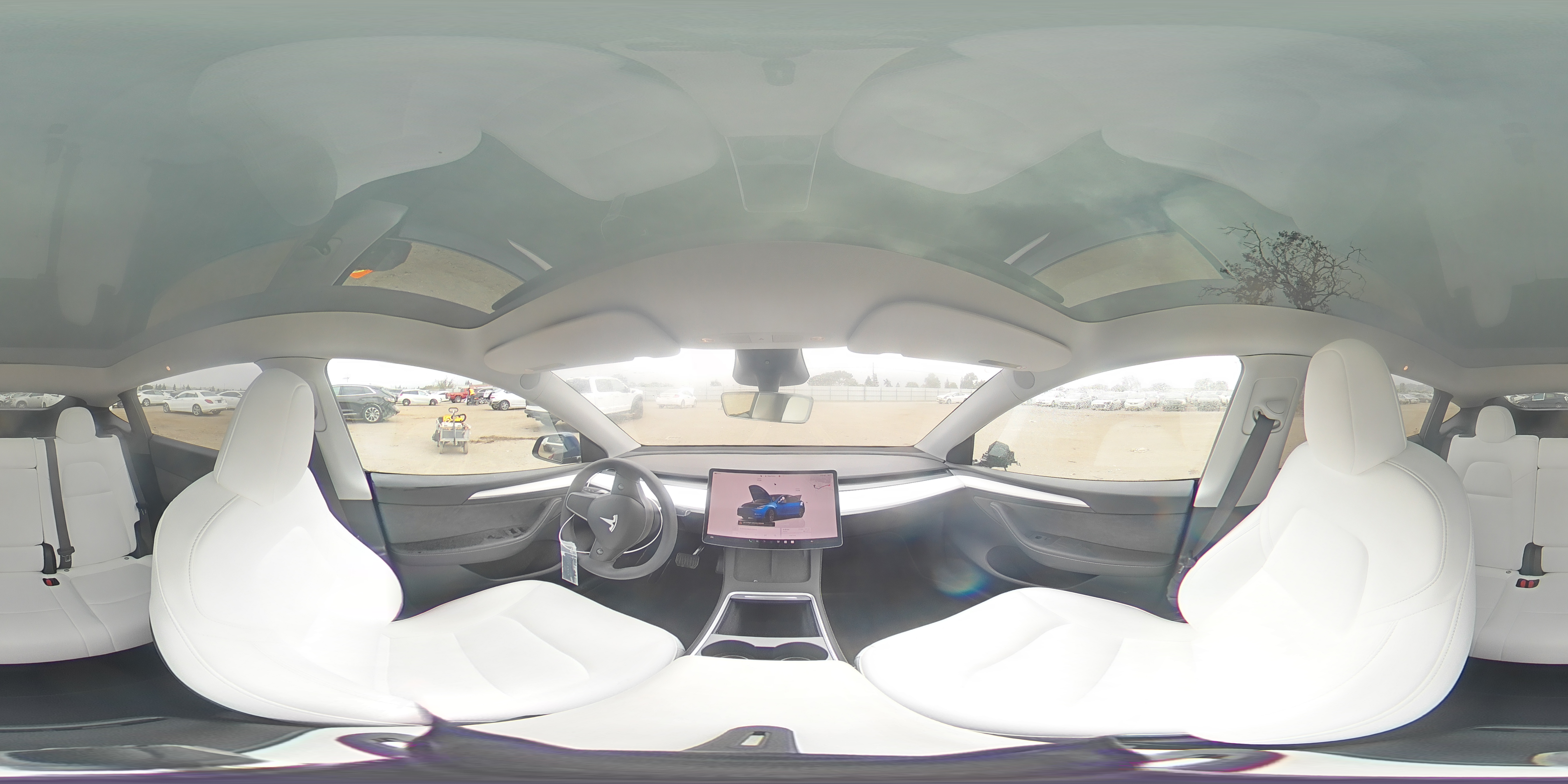2024 Tesla Model Y VIN: 7SAYGDED3RF118546 Lot: 56573375