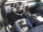 2008 Ford Mustang Gt de vânzare în Rancho Cucamonga, CA - Normal Wear