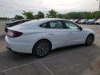 2023 Hyundai Sonata Hybrid للبيع في Louisville، KY - Hail