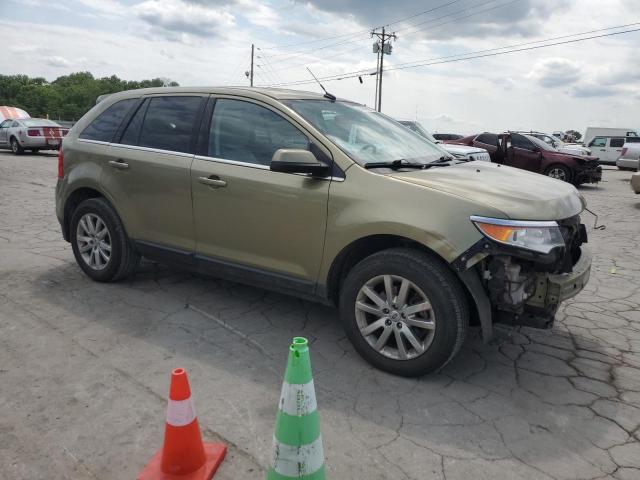 Parquets FORD EDGE 2013 Zielony