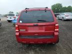 2011 Ford Escape Xlt იყიდება Des Moines-ში, IA - Rear End