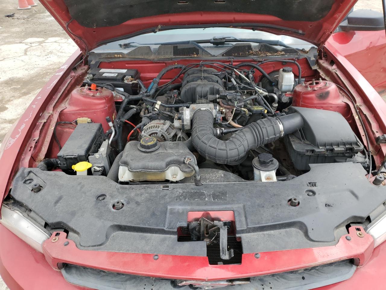 2010 Ford Mustang VIN: 1ZVBP8EN8A5122212 Lot: 57409995