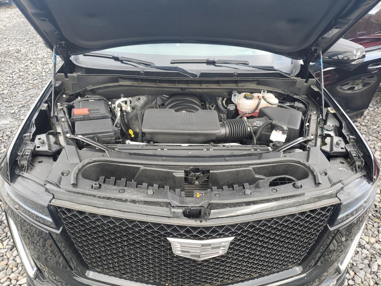 2024 Cadillac Escalade Sport VIN: 1GYS4FKL2RR154414 Lot: 56644165