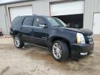 2014 Cadillac Escalade Premium за продажба в Conway, AR - Front End