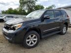 2013 Lexus Gx 460 for Sale in Chatham, VA - Front End