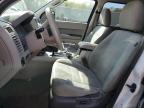 2012 Ford Escape Xlt for Sale in Exeter, RI - Rear End