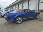 2005 Ford Mustang  იყიდება Louisville-ში, KY - Front End