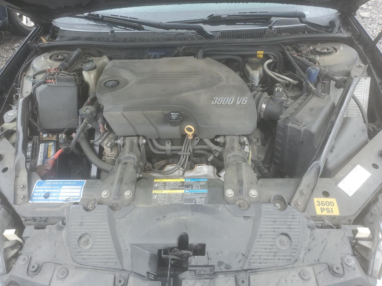 2009 Chevrolet Impala Police VIN: 2G1WS57M491227504 Lot: 54236585