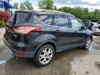 2015 Ford Escape Titanium for Sale in Louisville, KY - Hail