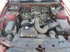 2005 Ford Mustang  for Sale in Albuquerque, NM - Front End