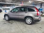 2011 Honda Cr-V Se   for Sale in Wheeling, IL - Front End