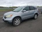 2008 HONDA CR-V EXL à vendre chez Copart ON - OTTAWA