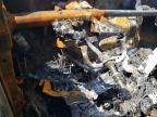 1997 Ford F150  for Sale in Rogersville, MO - Burn