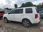 2013 Honda Pilot Ex   for Sale in Madisonville, TN - Front End