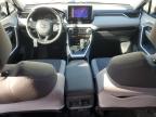 2024 Toyota Rav4 Xle   for Sale in Apopka, FL - Front End
