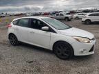 2013 Ford Focus Se იყიდება Earlington-ში, KY - Hail