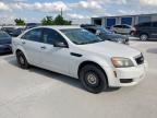 2016 Chevrolet Caprice Police იყიდება Haslet-ში, TX - Hail