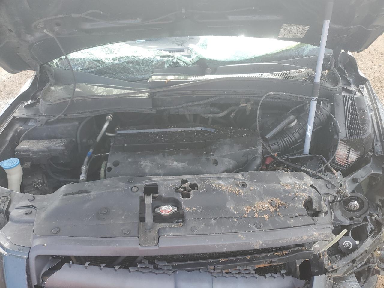 2004 Honda Pilot Exl VIN: 2HKYF18594H534355 Lot: 55419085