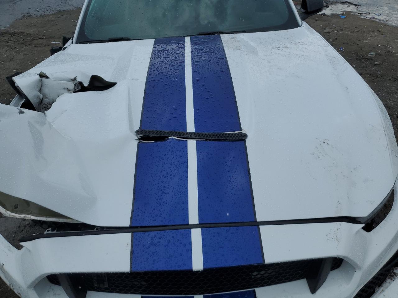 2016 Ford Mustang Shelby Gt350 VIN: 1FA6P8JZ9G5520251 Lot: 56429835