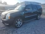 Prairie Grove, AR에서 판매 중인 2010 Cadillac Escalade Luxury - Hail