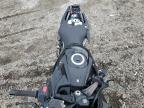 2024 SUZUKI GSX800 F   for sale at Copart OH - COLUMBUS