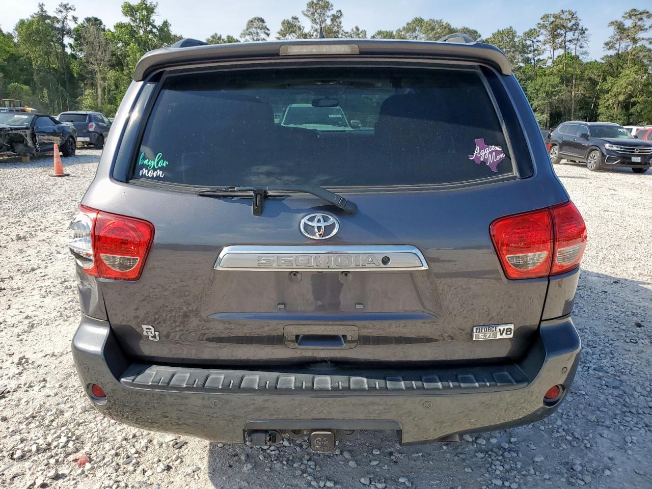 2013 Toyota Sequoia Limited VIN: 5TDKY5G11DS045156 Lot: 57287495