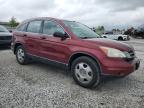2011 Honda Cr-V Lx იყიდება Walton-ში, KY - Minor Dent/Scratches