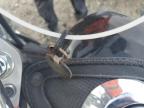 2001 Honda Vt1100 C3 zu verkaufen in Hampton, VA - Front End