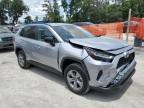 2024 Toyota Rav4 Le იყიდება Ocala-ში, FL - Front End