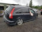2010 Honda Cr-V Exl for Sale in Graham, WA - Rollover