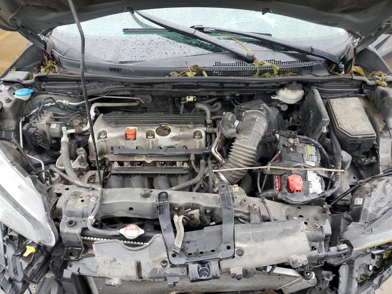 2014 Honda Cr-V Exl VIN: 2HKRM3H73EH504924 Lot: 57416035