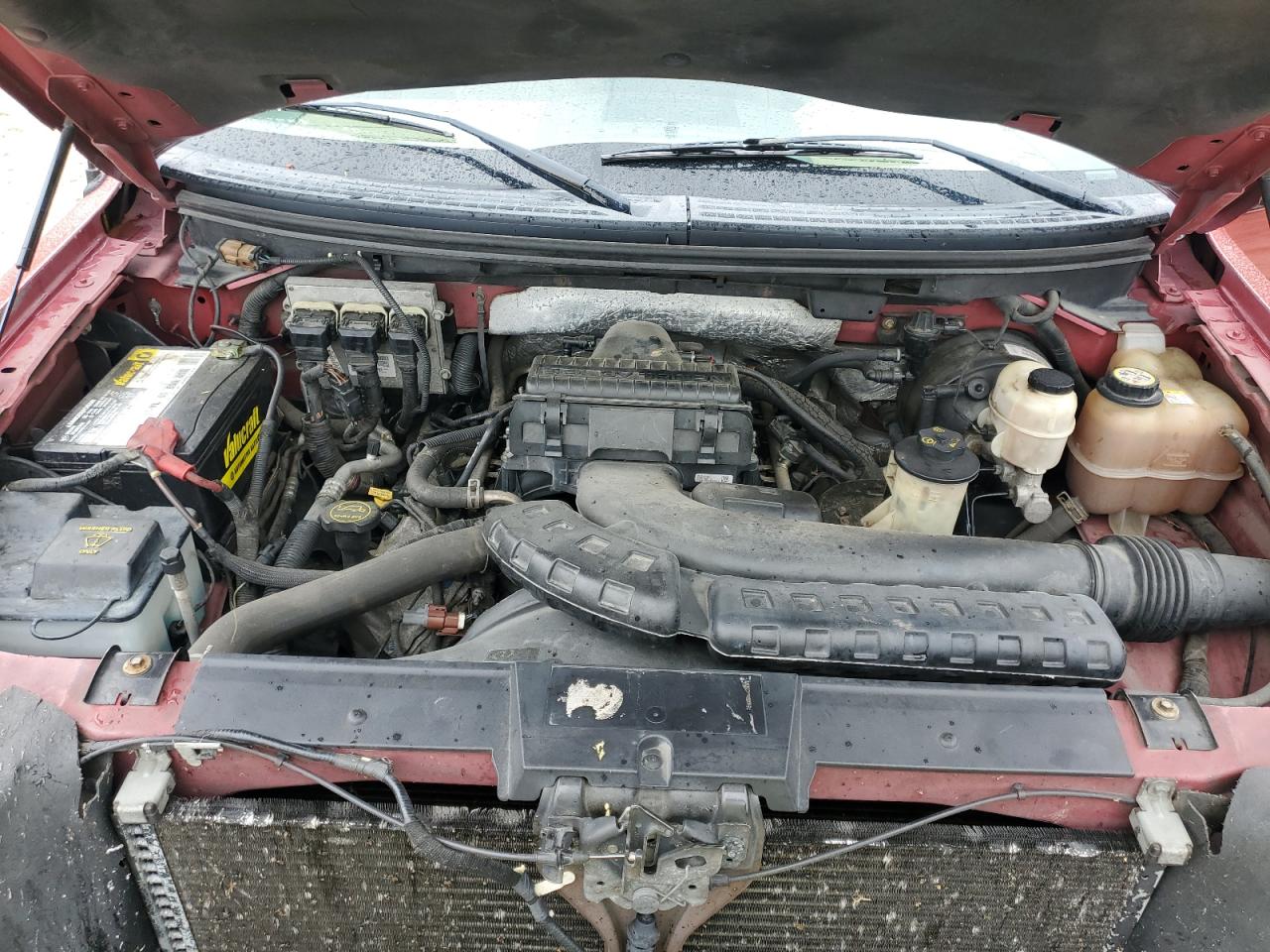2007 Ford F150 Supercrew VIN: 1FTPW12V77FA68590 Lot: 56565435