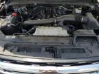 Orlando, FL에서 판매 중인 2023 Ford Expedition Max Limited - Side