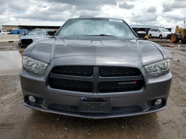  DODGE CHARGER 2014 Gray