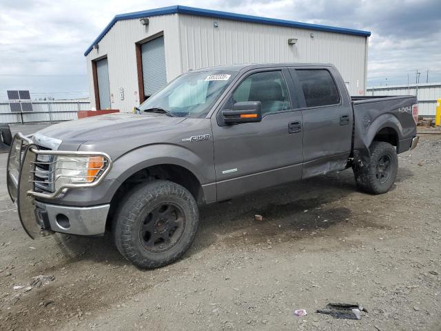 Пикапы FORD F-150 2013 Серый