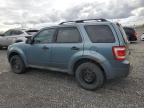 2011 Ford Escape Xlt للبيع في Ottawa، ON - Minor Dent/Scratches
