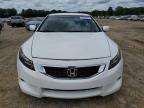 2010 Honda Accord Exl for Sale in Conway, AR - Rear End