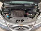 2009 Honda Odyssey Exl იყიდება Blaine-ში, MN - Rear End