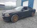 2012 DODGE CHARGER SXT à vendre chez Copart NS - HALIFAX
