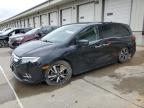2019 Honda Odyssey Elite на продаже в Louisville, KY - Front End