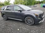 2025 Kia Carnival Sx იყიდება Marlboro-ში, NY - Side