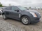 2016 Cadillac Srx Luxury Collection for Sale in Walton, KY - Side