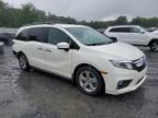 2019 Honda Odyssey Exl   للبيع في Gastonia، NC - Rear End