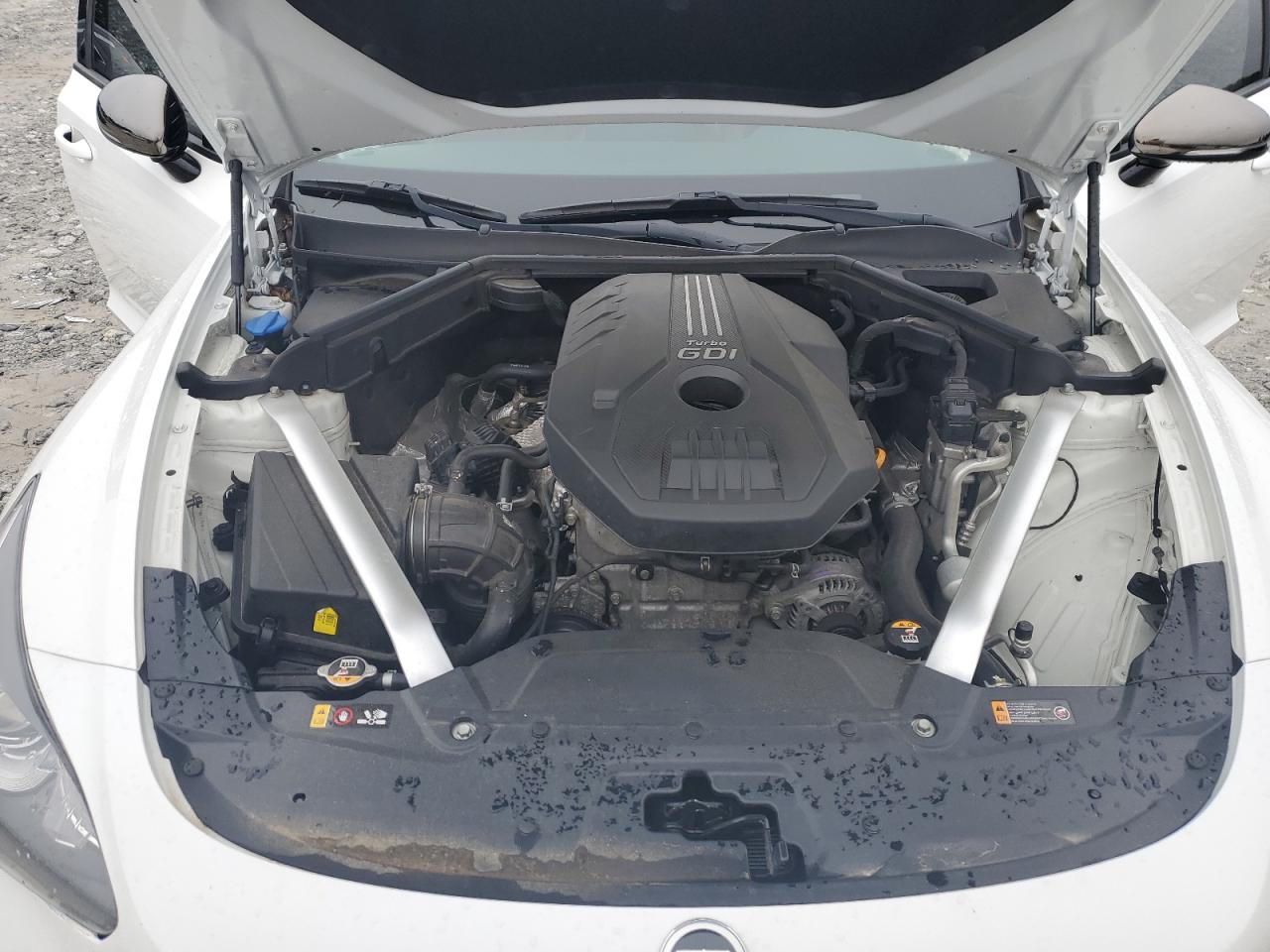 2021 Kia Stinger VIN: KNAE15LA1M6088139 Lot: 57763185