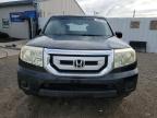 2011 Honda Pilot Exln   for Sale in Louisville, KY - Hail