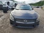2010 Nissan Maxima S for Sale in Hurricane, WV - Rear End
