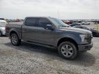 2016 Ford F150 Supercrew продається в Earlington, KY - Hail