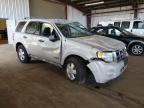2008 Ford Escape Xlt for Sale in American Canyon, CA - Rollover